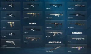 Conta ascendente 1com skin - Valorant