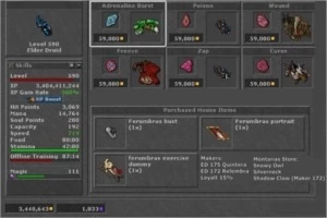 ED 590 HAT NON-PVP - Tibia