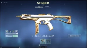 Conta Platina 1 Com SKINS - Valorant