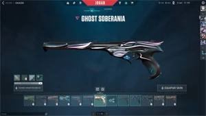 CONTA VALORANT PLATINA COM VARIAS SKINS