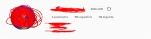 CONTA DE INSTAGRAM - Redes Sociais