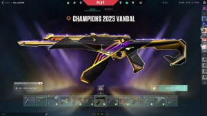 Conta Valorant Radiante Com muita skin