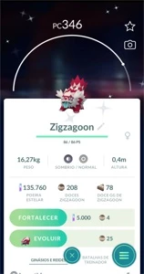 Zigzagoon Shiny Pokémon Go - Pokemon GO