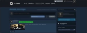 Conta Prime Nivel 0 sem MD10 - Counter Strike CS