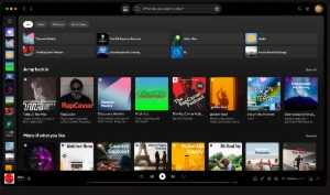 Spicetify - Um spotify mas MUITO MELHOR! - Outros