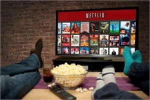 Conta Netflix - 2 Telas + Hd - Validade De 12 Meses - Outros