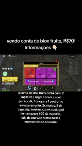 Conta de blox fruits - Roblox