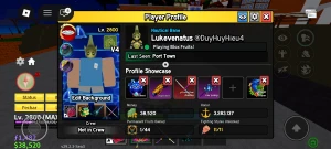 Conta bloxfruit com Dragon permanente - Roblox