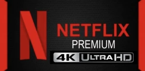 Netflix 4k ultra HD tela exclusiva 30 dias 25,00R$ - Assinaturas e Premium