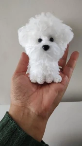 Miniatura Poodle - Amigurumi de Crochê com Feltragem - Artesanato e Personalizados