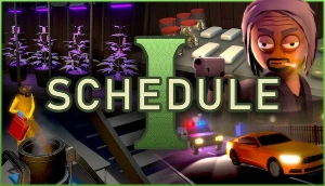 Schedule 1 ( Entrega Automatica) - Steam