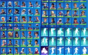 conta fortnite 310 skins muitos passes wild cat minty e etc