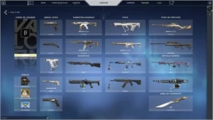 Conta valorant beta completa + skins
