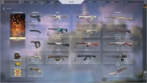 Conta Valorant - Muitas Skins - R$1346 investidos - Outros