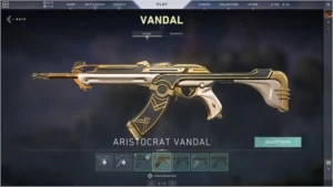 Conta Valorant - Muitas Skins - R$1346 investidos - Outros