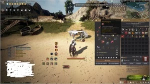 V>Conta BlackDesertSA Full Pen+Pérolas+Skins+PacoteEconômico - Black Desert