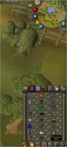Conta OSRS - Runescape