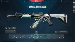 Conta valorant full acesso varias skins