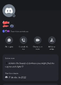 duas contas discord do ano 2022 - Social Media