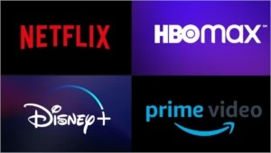 Netflix,Amazon,HBO max e Disney plus DURANTE 30 DIAS - Assinaturas e Premium