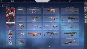 CONTA VALORANT 750R$ EM SKINS - PLATINA 1
