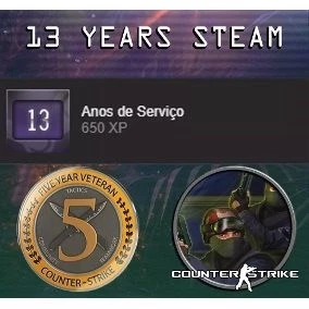 Steam Insigma 13 Anos + Medalha 5 Anos Csgo + Patente Ak X - Counter Strike