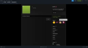 CS2 2.2K+ Horas | 21 anos (2005) | 12,059 RANK | PRIME - Counter Strike