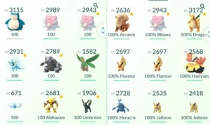 CONTA COM 3 MEWTWO ( + PASSE EX ) - Pokémon