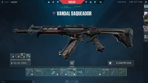 Conta De Valorant Prata 3 Com Muita Skin