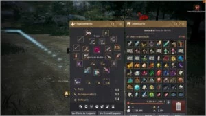 Conta Black Desert mage 61 com itens bons !