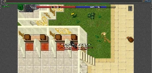 Compre 1 Leve 2 Contas Aurera Global - Tibia