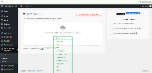 All-in-One WP Migration Pro Master - Outros