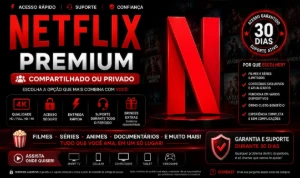 Netflix 4K | Tela Privada | 30 Dias | Entrega Rapida