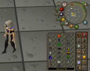 Lv50 99 MAGIC /10 HP - Runescape RS