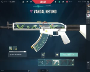 Conta valorant skin