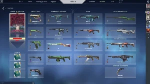 Conta Valorant Muitas Skins Barata
