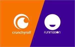 CRUNCHYROLL PREMIUM e FUNIMATION PREMIUM 12 MESES - Assinaturas e Premium