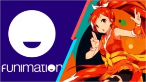 CRUNCHYROLL PREMIUM e FUNIMATION PREMIUM 12 MESES - Assinaturas e Premium