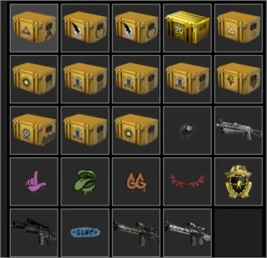 Conta Prime + Medalha Lealdade - Counter Strike CS