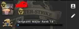 Conta Prime + Medalha Lealdade - Counter Strike CS