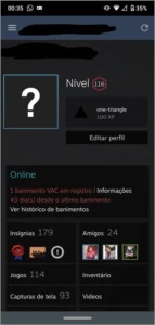 Conta Steam | 114 Jogos | Perfil lvl 116 | Vac CS:GO