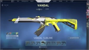 Conta desde o Beta com investimento de R$1000,00 em skins. - Valorant