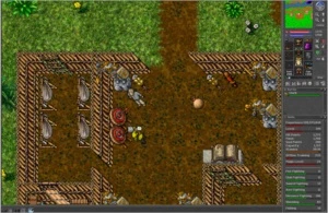Rp 199 + ED 58 MORTERA - Tibia