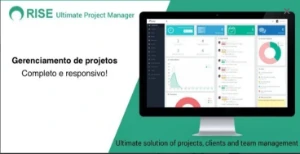 Script Gerenciador De Projetos, Finanças, Cobrança, Clientes - Others