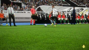 Fifa Friends + Fifa 16 Delusional (Pc)