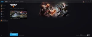Conta Blizzard