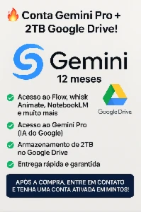 Conta Gemini Pro + 2TB Google Drive  - Others