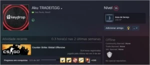 Conta Steam com Prime Lv 16 + Jogos - Counter Strike CS