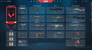 Conta valorant ex dima 1 com mais de 700 reais gastos