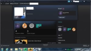 Conta steam lv 10, 15 anos serviço, 10 anos medalha cs go - Counter Strike
